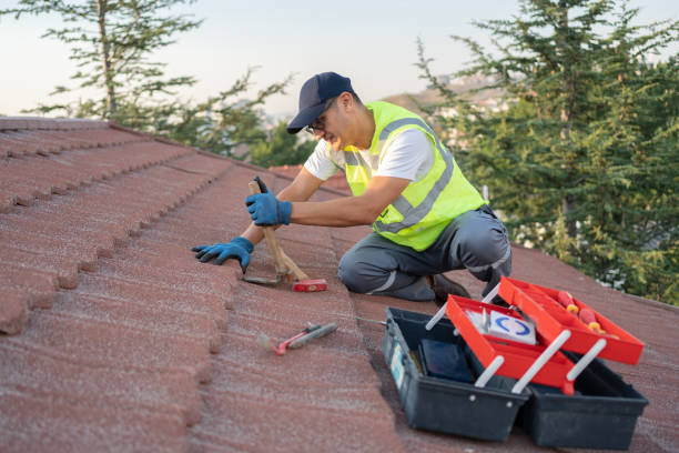 Best Commercial Roof Installation  in Smithville Sanders, IN