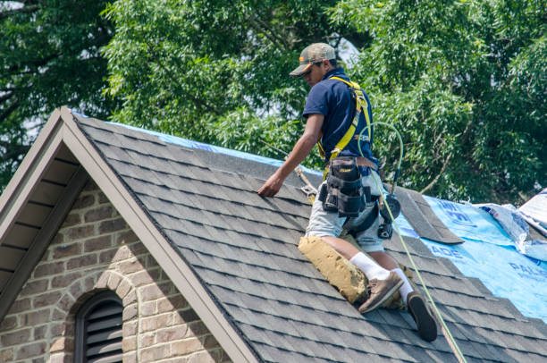 Best Gutter Installation and Roofing  in Smithville Sanders, IN